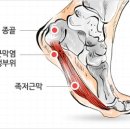 365동백한의원 이미지
