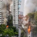 분당분당-A-21 이미지