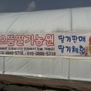 남일로(남후면) 이미지