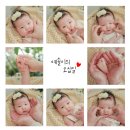 복땡이 | 스튜디오 봄날(천안아산점) 50일 촬영후기