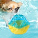 쿨한 강아지 이미지