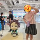 홍대전철역 8번출구 | 딸과 함께한 홍대 덕질투어 - 애니메이트, 메가캠퍼스, CIH+SHOP, 코끼리밥캡슐토이, 미니소...