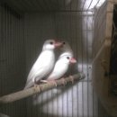 만덕2동주민센터1 이미지