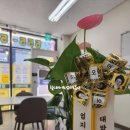 금조공인중개사사무소 이미지