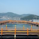 중화어촌계낚시터 이미지