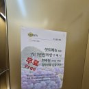 현애원/카페이스틀리 | 성산 가볼만한곳 성산 카페 이스틀리
