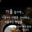 11월23일 뉴스브리핑 이미지