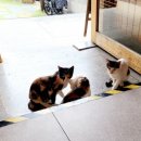 하양주택 이미지