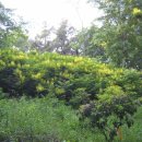 가좌체육공원 이미지