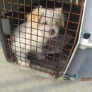 송정2길 이미지