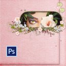 GTQ(그래픽 기술자격) 2급 취득 과정 이미지