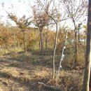 약천농장 이미지