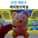 뽑기팡 | 경인교대입구역 캐치팡 오락실｜인형뽑기 후기 &amp; 난이도 분석