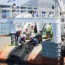 비엔케이 이미지