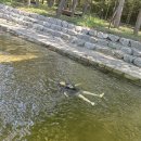 웅포문화체육센터 | 익산 아이랑 가기좋은 여름피서지 웅포 문화체육센터 (송천공원 계곡)