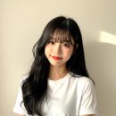 헤일로헤어 네이버블로그