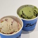 한화갤러리아(주) 명품관 | 벤슨 매장 아이스크림 맛 리뷰: 피스타치오라즈베리, 말차레드빈, 민트초코칩, 저지밀크말돈솔트...