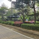 쌍용동일하이빌아파트 이미지