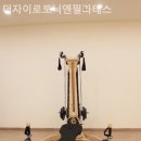 더자이로토닉앤필라테스