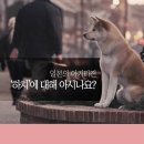 운정힐링동물병원 이미지