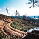 가을코스 이미지