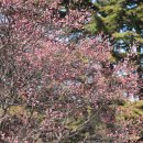 하늘대로5 이미지