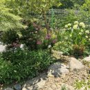 달봉농원 이미지