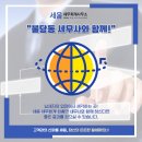 세움회계법인 이미지