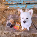 지에스25 강화동막점 이미지