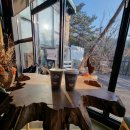 카렌시아 이미지