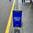 창동 가로수길 | 마산 어시장 카페 바삭한 크로플 맛집 사공커피