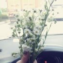 새마을세차장 이미지