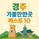 옥정천년나무8단지 앞 상가 도로 | 경주 가볼만한곳 베스트 10 명소