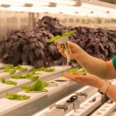 태평성대협동조합 이미지