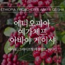 예가체프 - 나주시 금성길 41-9 | 예가체프