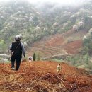 팔랑농산민박 이미지