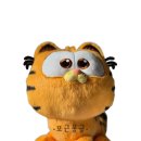 가필드 | 고양이 집사 가필드 인형 촬영 후기｜23×37×32cm 실물 크기 리뷰