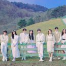k타이거즈 이미지