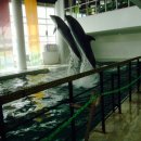 강민농장 이미지