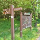 뿌리공원 둘레길 이미지