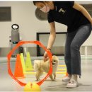 서초대로 76 이미지