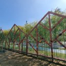 대곡초등학교 이미지