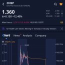 CNS 파마슈티컬스(CNSP)주가, +139.66% 급등 후, 상승 분 반납 후 +12.40% 상승 마감 (2025.5.13)