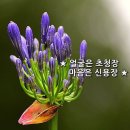 얼굴은 초청장 마음은 신용장 이미지