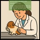 제이에스 동물병원 이미지