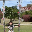 달샘목장 이미지