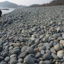 완도바다로 이미지