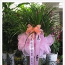 (주)바이온 이미지