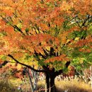 옥각 | 쾌청(快靑)한 날 &#39; 경복궁과 광화문 탐방&#39;= 다양한 풍경, 홍예문, 근정문과 근정전, 경회루, 향원정과...
