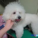 달링동물병원 이미지